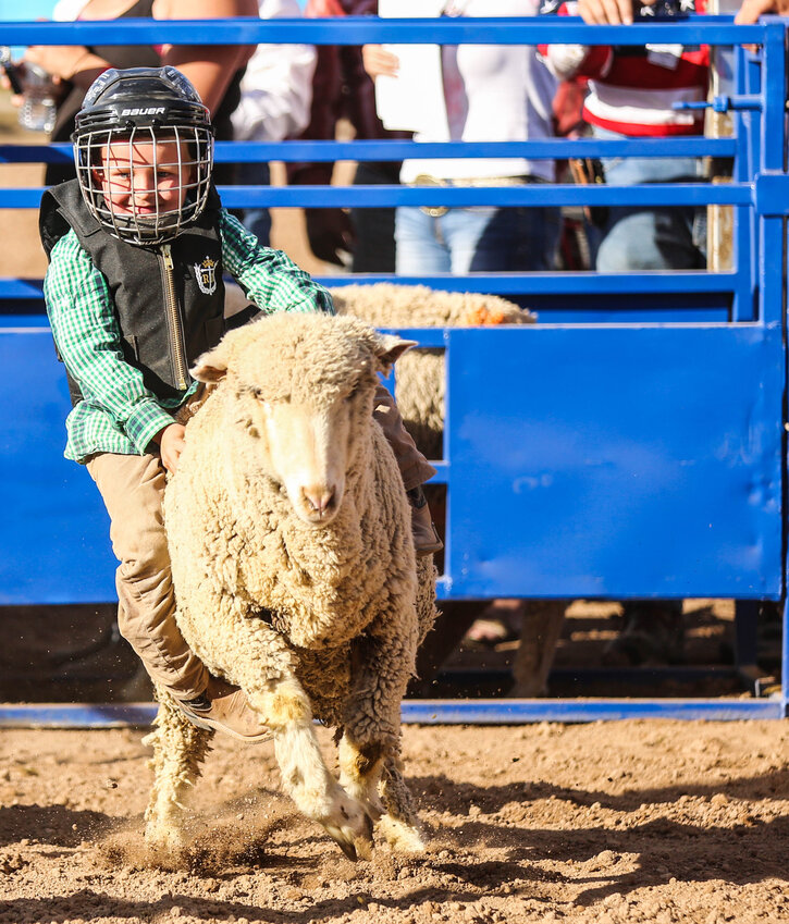 Lost Dutchman Days Rodeo Feb 21 23 Daily Independent